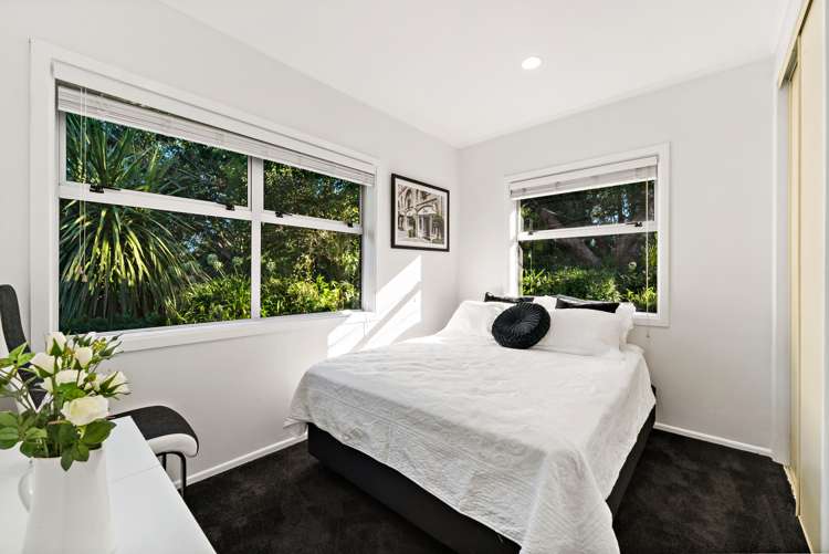 24 Carlton Street Hillsborough_12