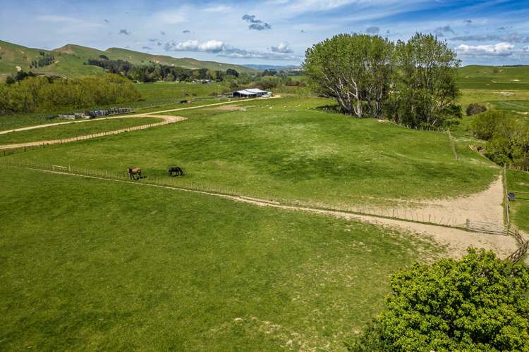 314 Rakaiatai Road Dannevirke_24