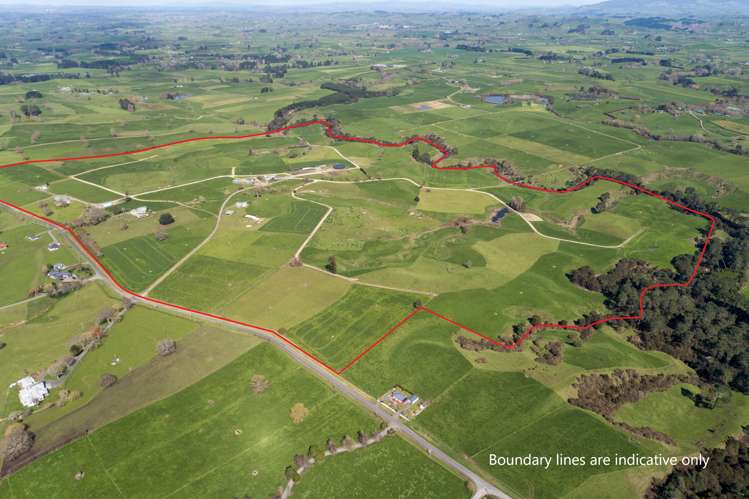 330 Rangitanuku Road Te Poi_25