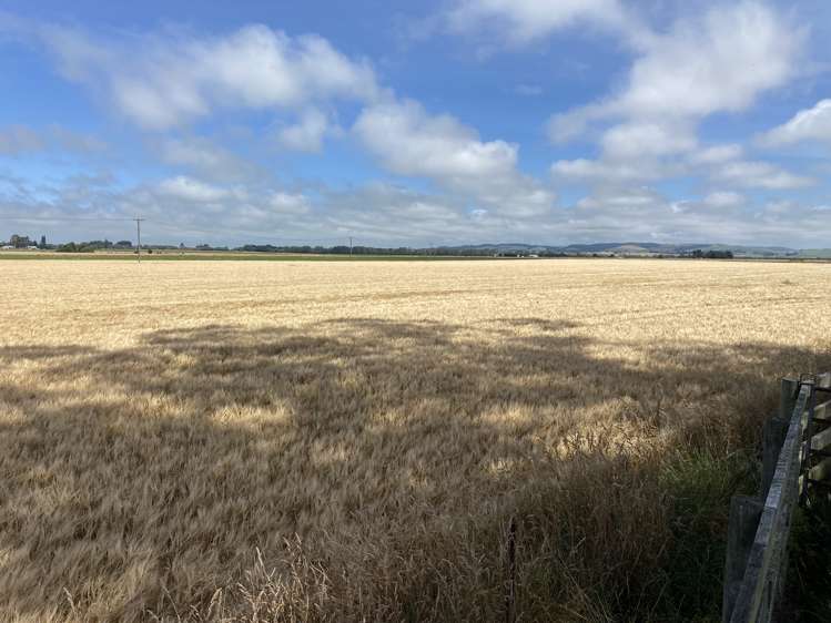 Willowbridge Road Waimate_2