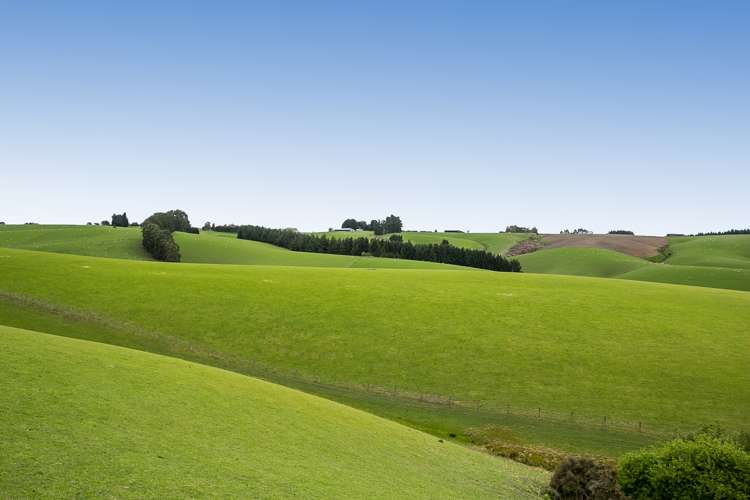 1152 Waitahuna West Road Lawrence_5