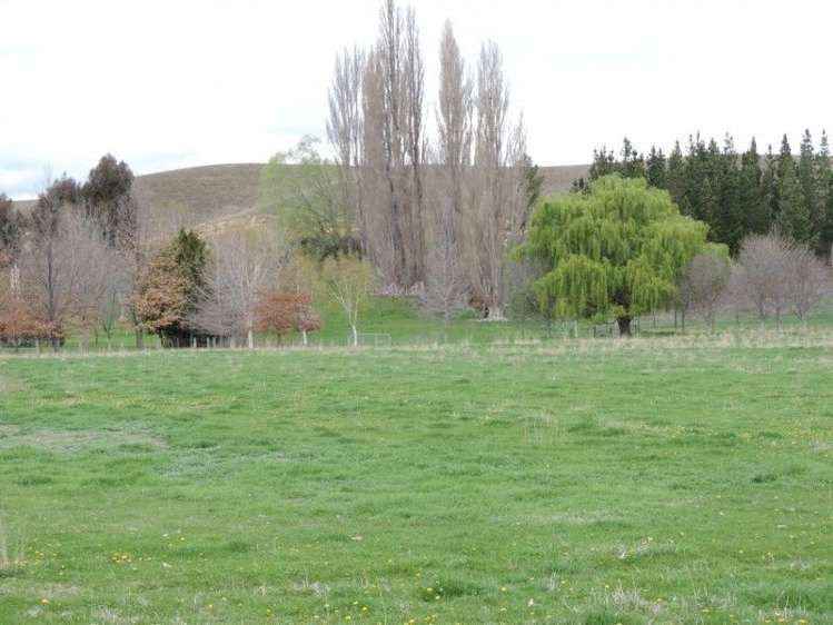 52 Crawford Hills Road Alexandra_14