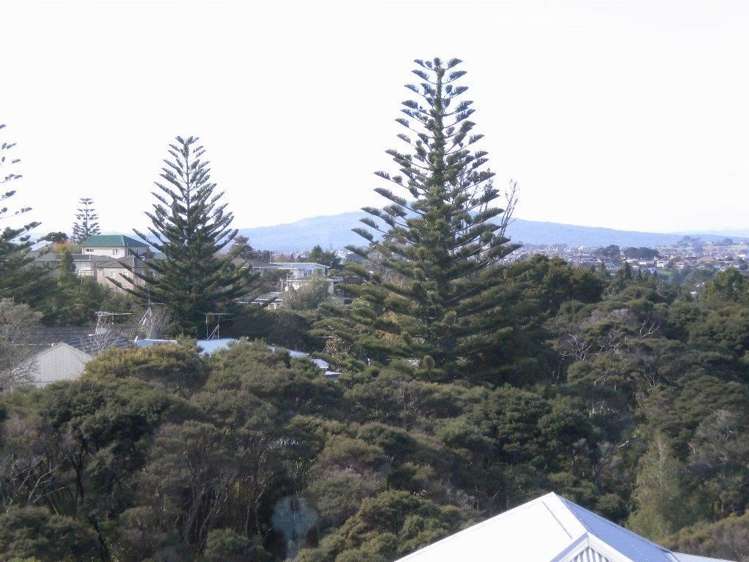 135 Birkenhead Avenue Birkenhead_6