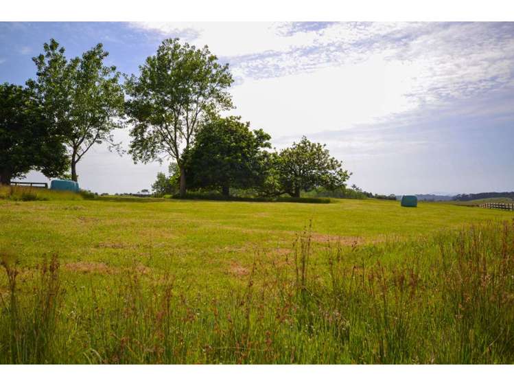 33 Wairangi Road Kerikeri_15