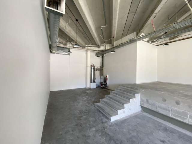 109 Ward Street Hamilton City Central_3