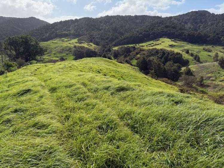 Lot 3/101 Brooklands Way Kaiwaka_14