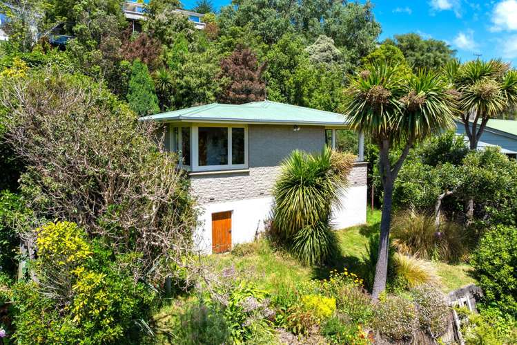 177 Evans Street Opoho_14