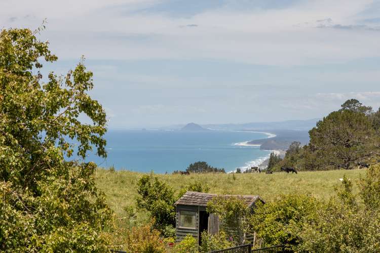 227 Heard Road Waihi Beach_26