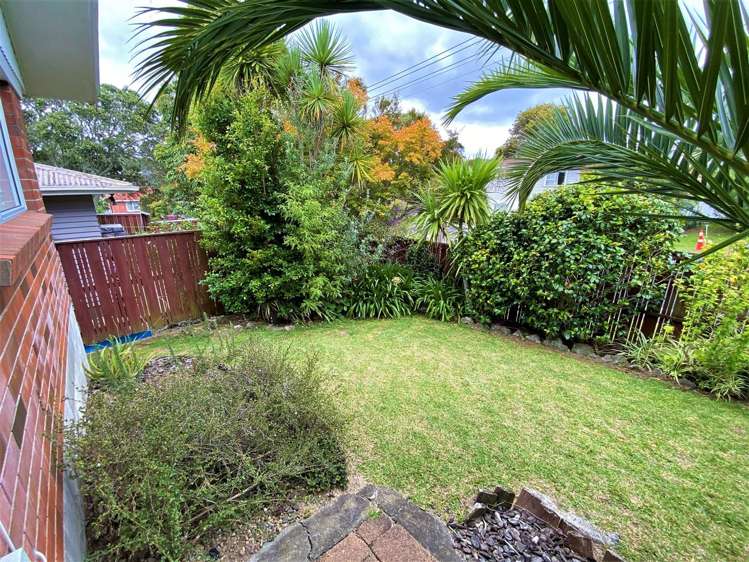 1 Ball Place Mount Roskill_9