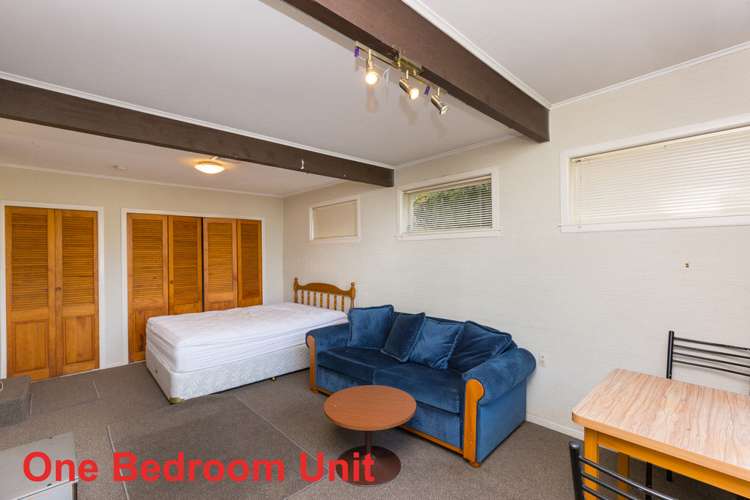 81 Grant Road Thorndon_14