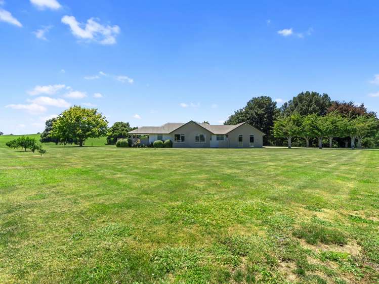 298 Frontier Road Te Awamutu_23