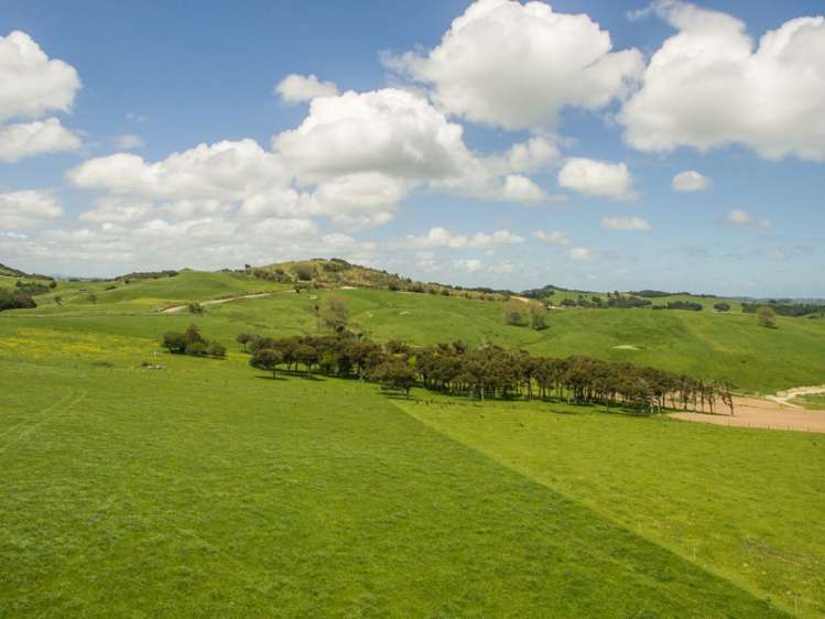 38 Birch Road Ruawai_10