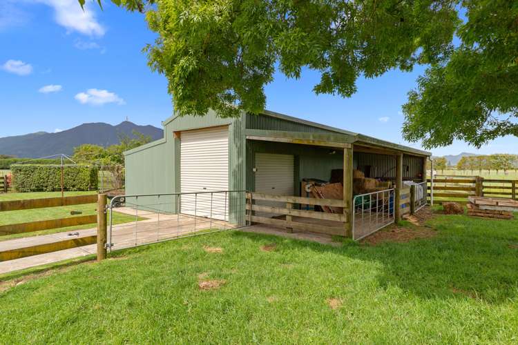 4472 State Highway 26 Te Aroha_20