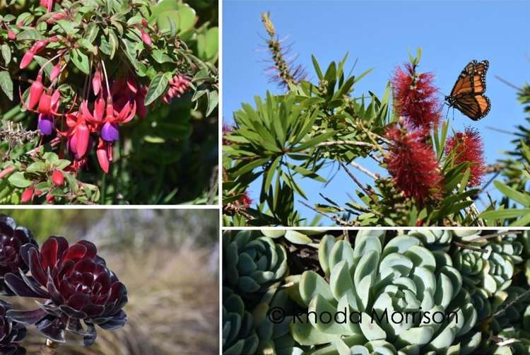 208 Heatley Road Whakapirau_46