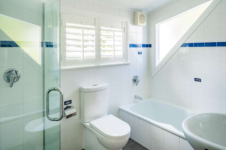 21 Nikau Street Eastbourne_17