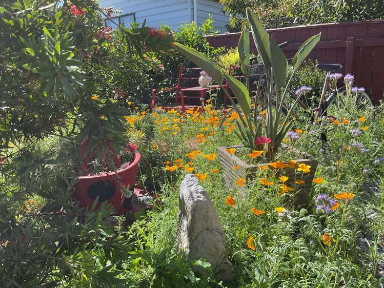 1B Titoki Street Stoke_16