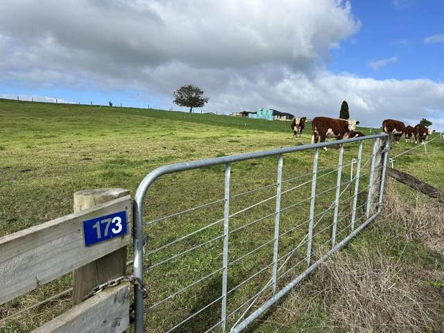 173 Ngahape Road Te Awamutu_1
