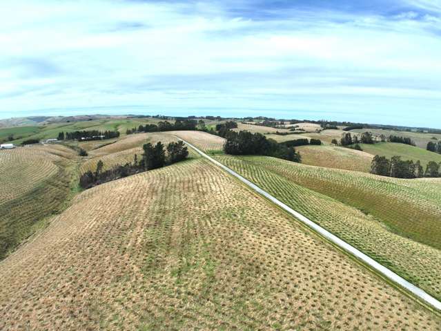 174 McCulloch Road Awamangu_3