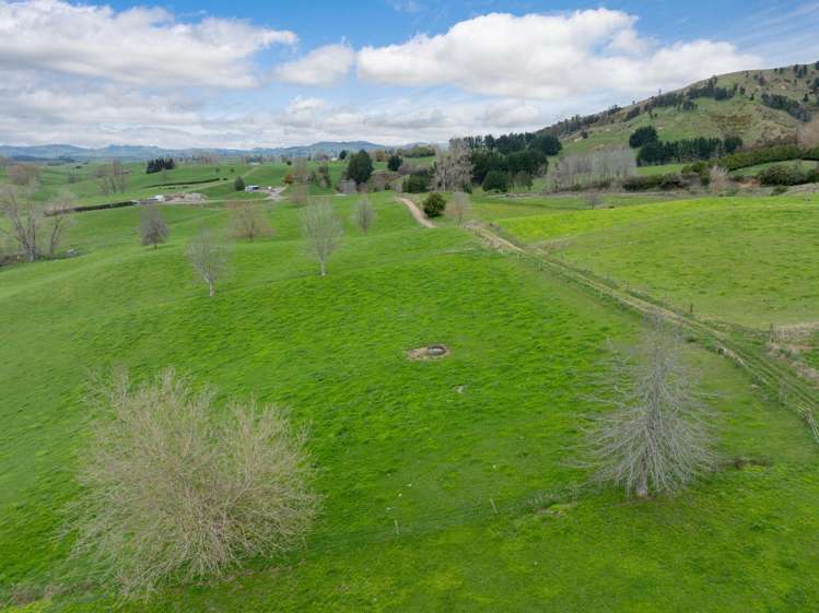 703 Bayley Road Te Awamutu_9