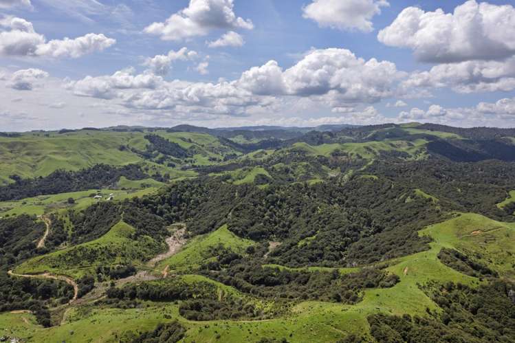 Te Papatapu Road Raglan_13