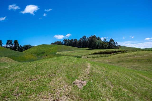 Rakau Road Reporoa and Surrounds_1