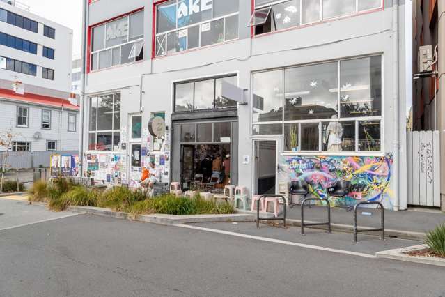 13 Garrett Street Te Aro_1