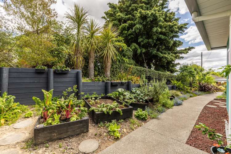 40 Campbell Street Havelock North_11