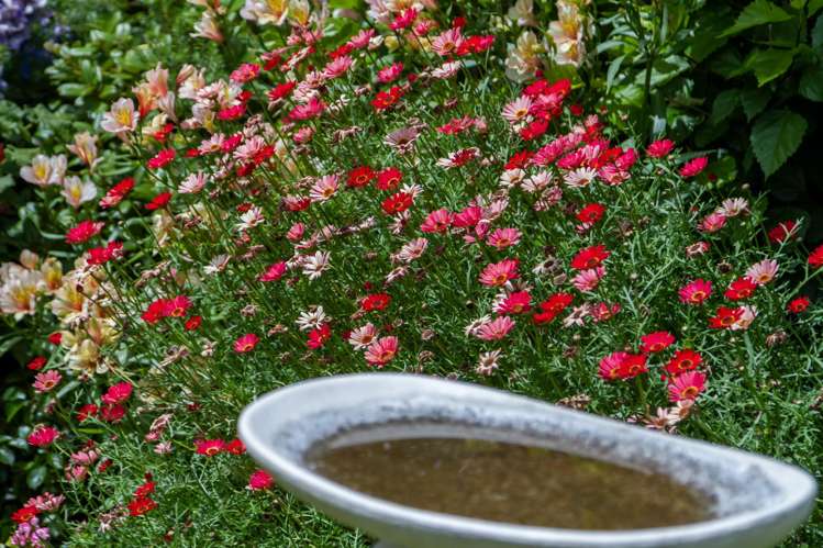 20 Menin Road Raumati South_8