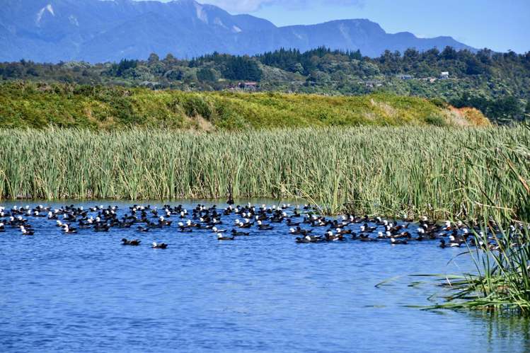 Lot 4 Nth Karamea Road Karamea_41