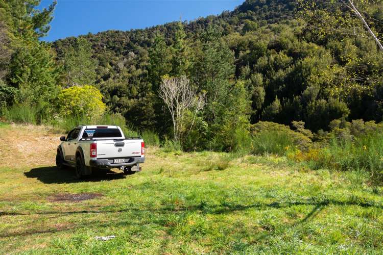 1000 Wakamarina Road Havelock_7