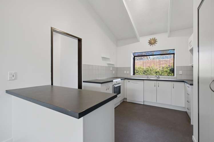 20 Arawa Road_2