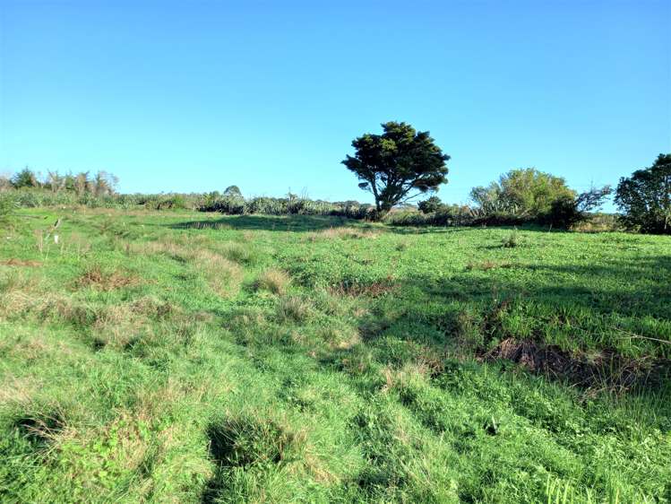 1 Torea Street Granity_15