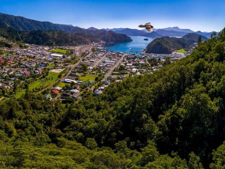 8 Scotland Street Picton_0