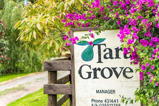 381 Tara Road Mangawhai_1