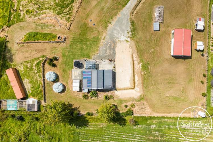 35 Minnie Casey Rise Matakohe_27