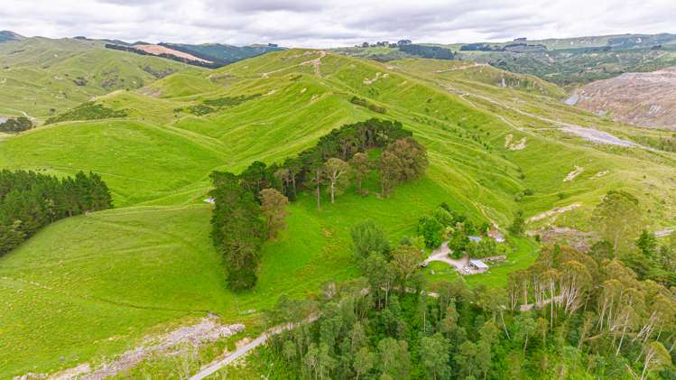 1655 Annedale Road Tinui_5