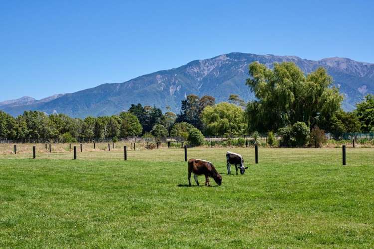 30a Mill Road Kaikoura_30