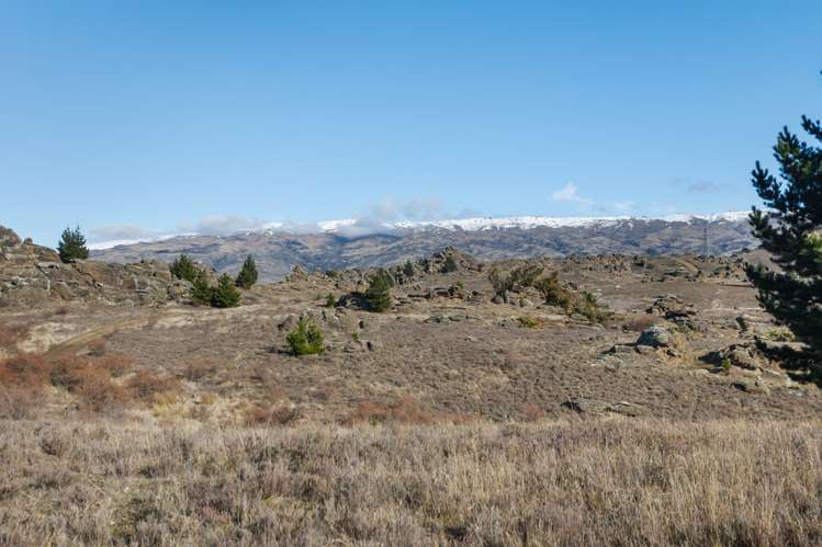 Hawley Road Alexandra_6