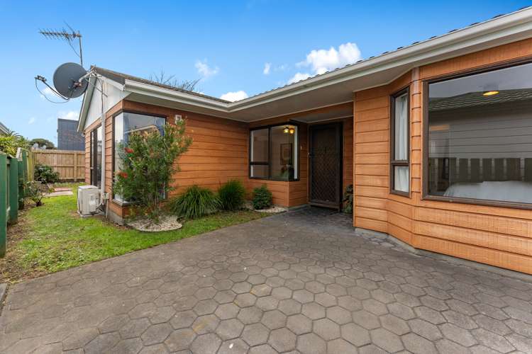 51a Rotherham Terrace Miramar_11