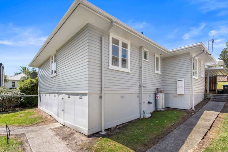 19 Layard Street Avondale_15