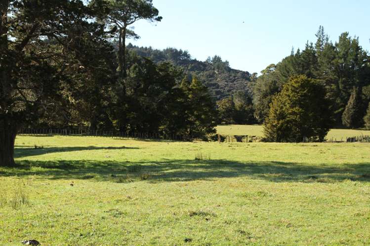 140 Kenana Road Mangonui Surrounds_1