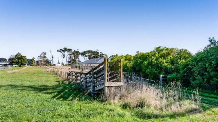 134B Manawapou Road Hawera_16