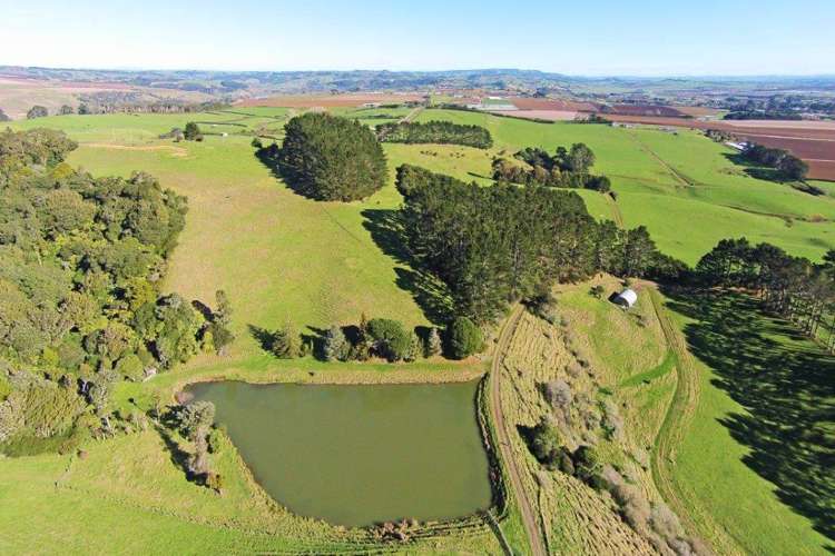 283 Trig Road Tuakau_10