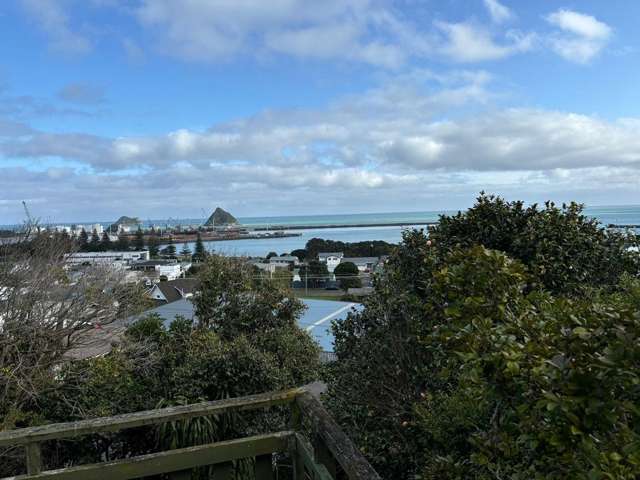 11 South Road Moturoa_2