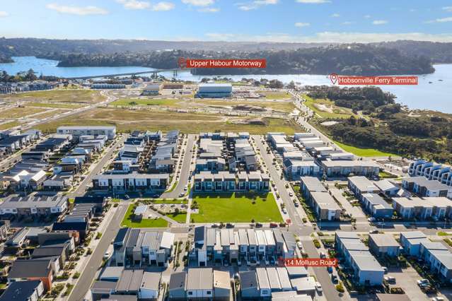 14 Mollusc Road Hobsonville_2