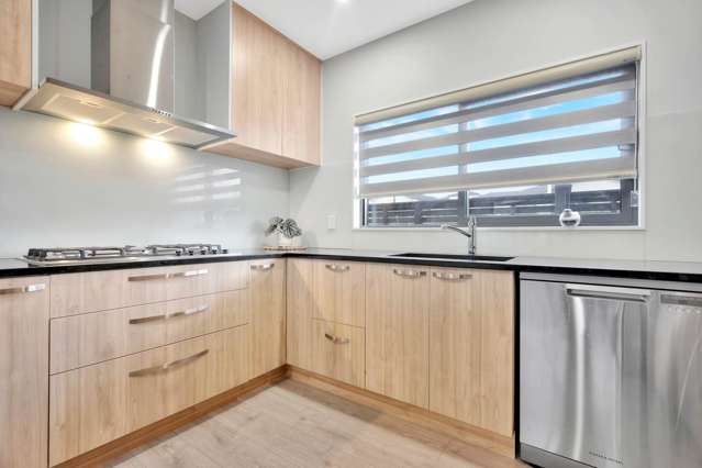 9b Mcquoids Road Flat Bush_2