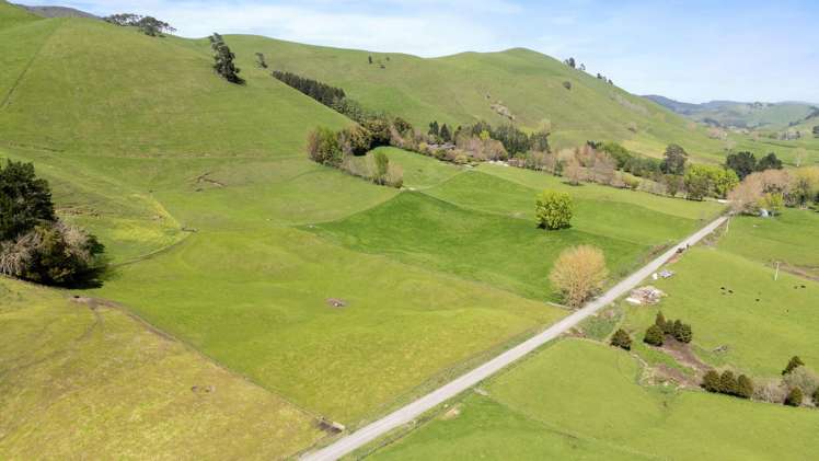 101 Te Weta Road Waikite Valley_28