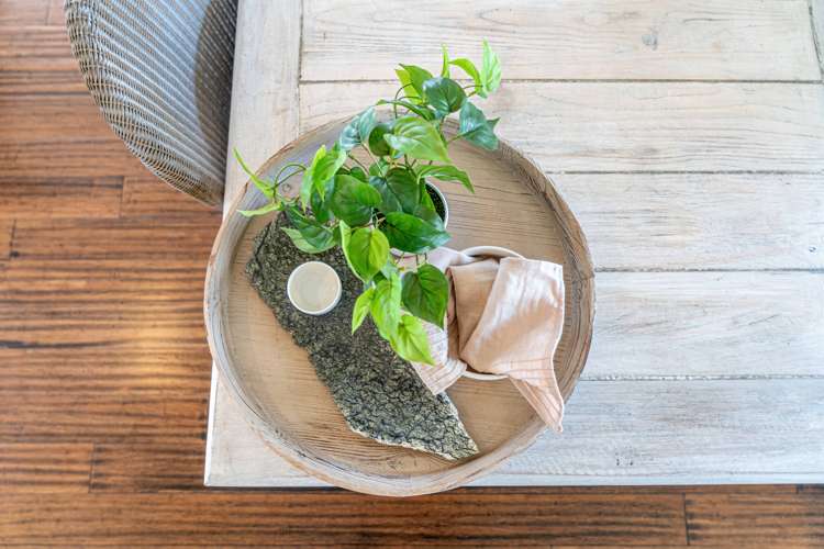 220 Peterborough Street Christchurch Central_8