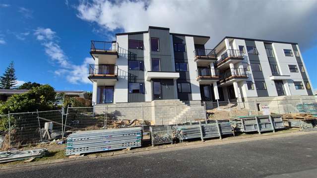 1 Elizabeth Street Pakuranga_2