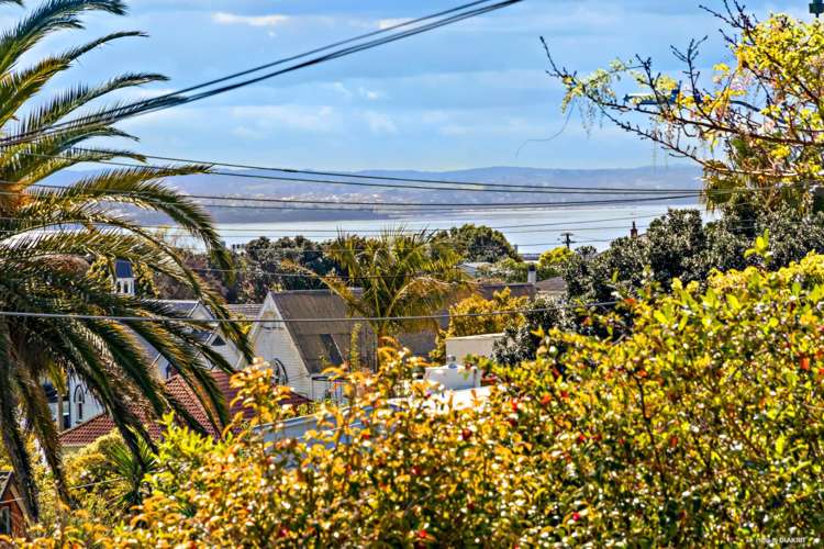 204 Blockhouse Bay Road Avondale_4
